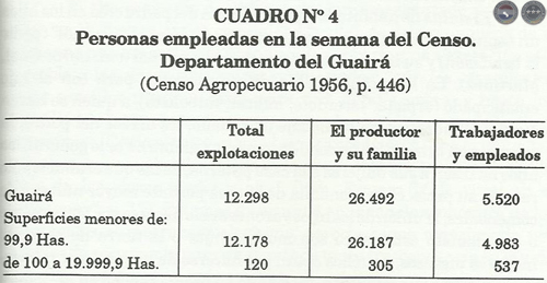 EL VALLE Y LA LOMA & CULTURAS DE LA SELVA, 1995 - POR RAMIRO DOMÍNGUEZ